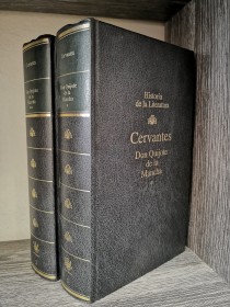Don Quijote de la Mancha (2 tomos) CERVANTES, MIGUEL DE - RBA