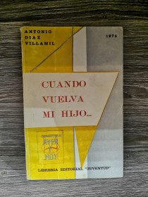 Cuando vuelva mi hijo DIAZ VILLAMIL, ANTONIO - Juventud